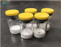 Boronic acid, [2-(dimethylamino)-5-pyrimidinyl]- (9CI) pictures