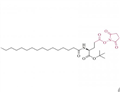 Nα-Palmitoyl-(L)-glutamic acid-γ-succinimidyl-α-tert-butyl ester