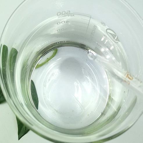 Article illustration