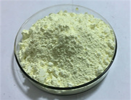 5-Chloro-2-nitrobenzoic acid 