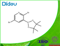 2,5-DIBROMOPYRIDINE-3-BORONIC ACID PINACOL ESTER pictures