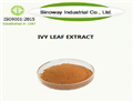 Ivy Leaf Extract pictures