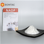 NADP β-Nicotinamide Adenine Dinucleotide Phosphate Disodium Salt (oxidized form)
