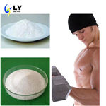 Methenolone Enanthate (primobolin)  pictures