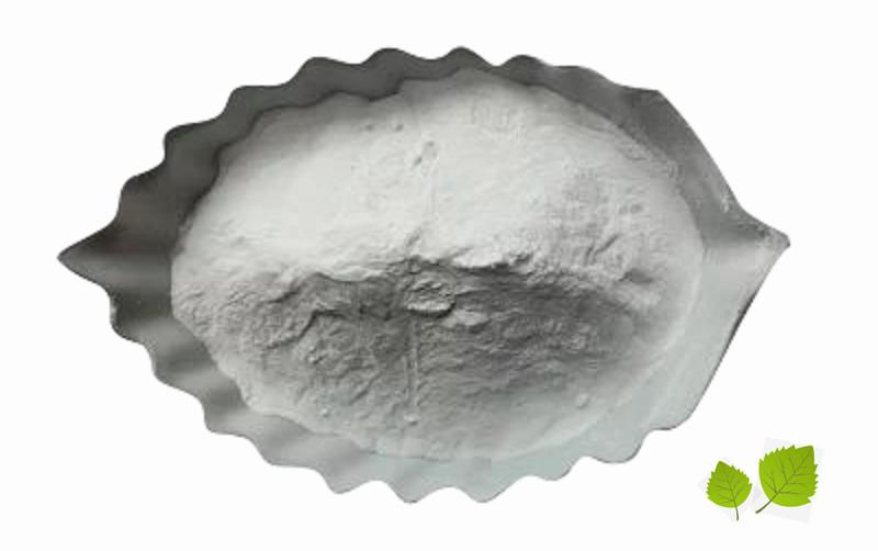 Article illustration