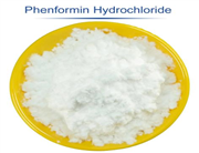  Phenformin (hydrochloride)