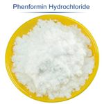 Phenformin (hydrochloride) pictures