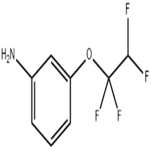 3-(1,1,2,2-Tetrafluoroethoxy)aniline