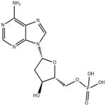 2'-Deoxyadenosine-5'-monophosphate