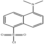 605-65-2 5-(Dimethylamino)naphthalene-1-sulfonyl chloride