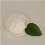 Xylazine hydrochloride pictures