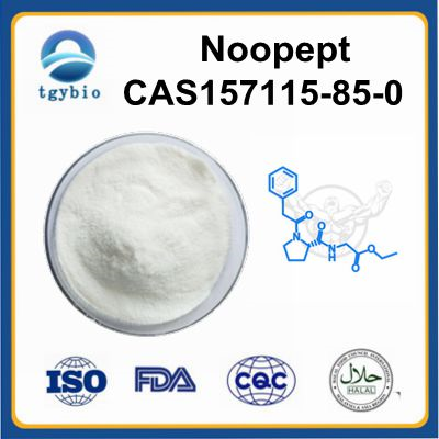 Noopept;ethyl 2-[[(2S)-1-(2-phenylacetyl)pyrrolidine-2-carbonyl]amino]acetate