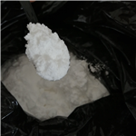 nitrilotriacetic acid trisodium