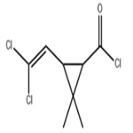 3-(2,2-Dichlorovinyl)-2,2-dimethylcyclopropanecarbonyl chloride