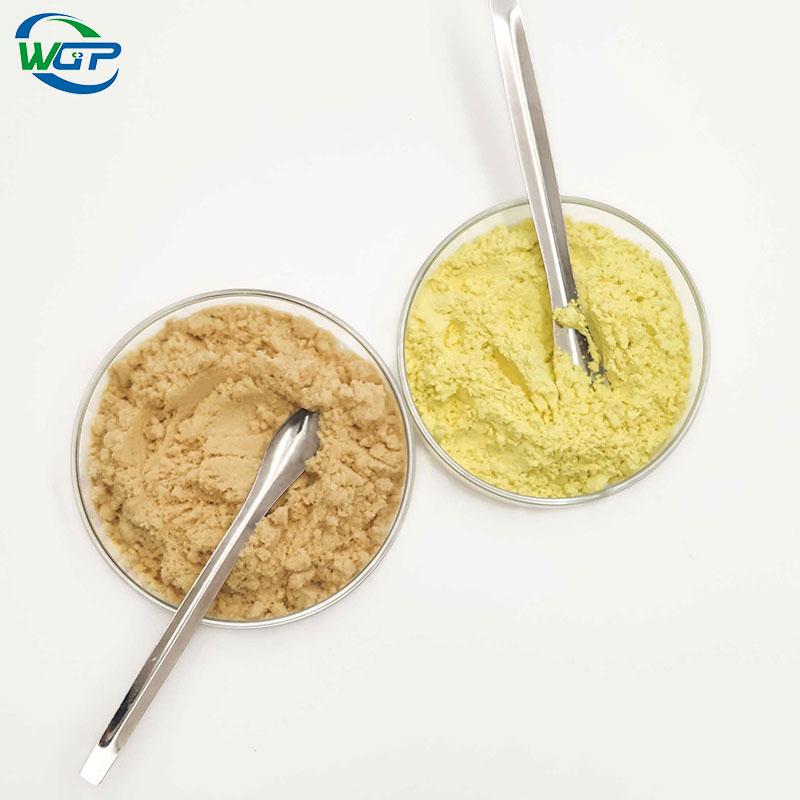 Article illustration