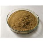 32619-42-4 Olive Leaf Extract