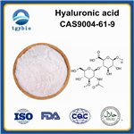 Hyaluronic acid;HA;Hyaluronic acid sodium