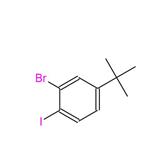 2-Bromo-4-tert-butyl-1-iodo-benzene