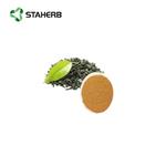 84650-60-2 tea polyphenol 
