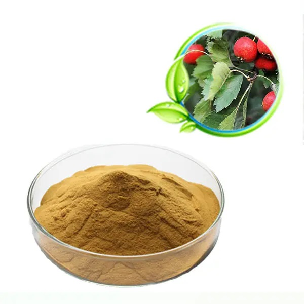 Natural Hawthorn Extract Powder ;Vitexin