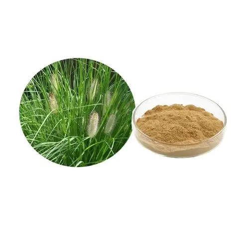  L. Leaf Powder Horsetail Extract