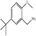 (5-Tert-butyl-2-methoxyphenyl)methanamine pictures