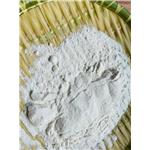 tert-Butylhydrazine hydrochloride (1:1)