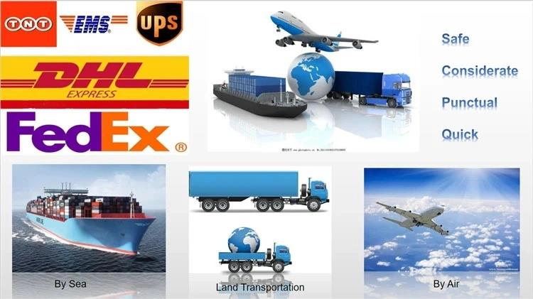 Article illustration