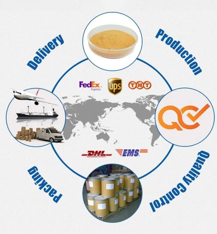 Article illustration