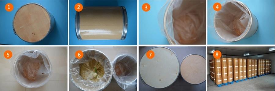 Article illustration