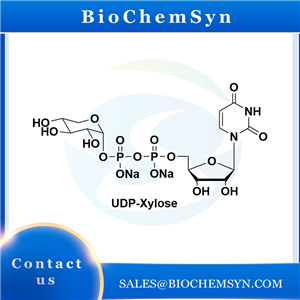 UDP-Xylose; Uridine 5'-diphospho-D-xylose disodium salt