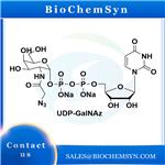 UDP-GalNAz; Uridine 5’-diphospho-N-acetylazidogalactosamine disodium salt
