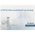 m7GP3G (Monomethylated Cap Analog) pictures