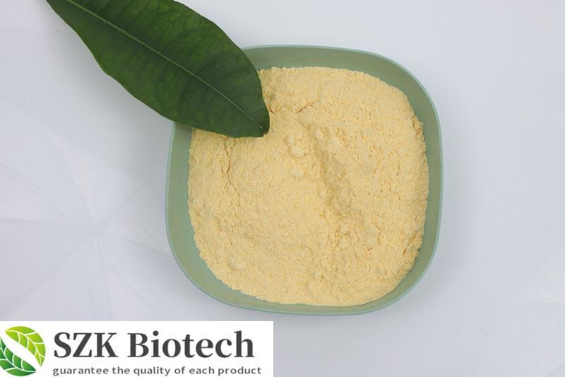 Article illustration