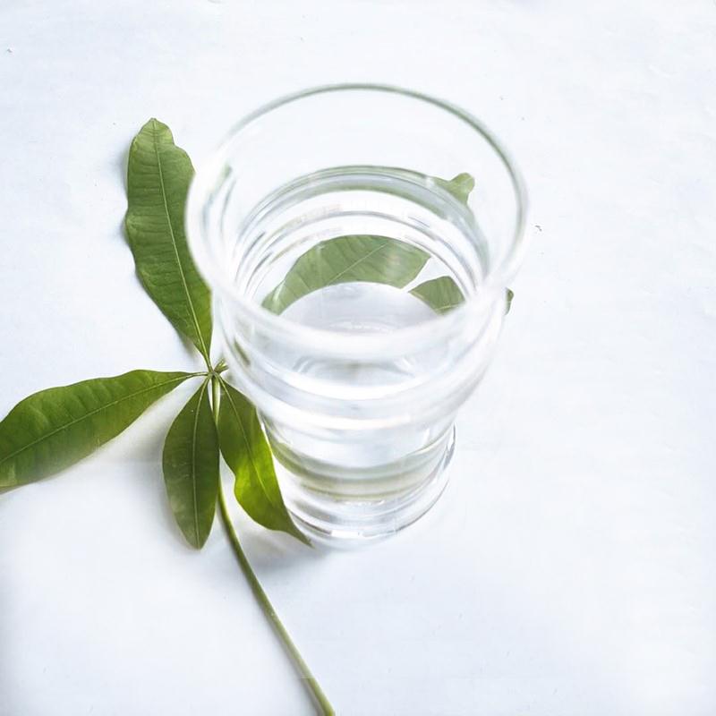 Article illustration