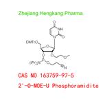 2'-O-MOE-U Phosphoramidite pictures