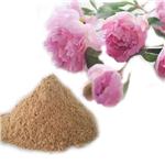 23180-57-6 Paeoniflorin