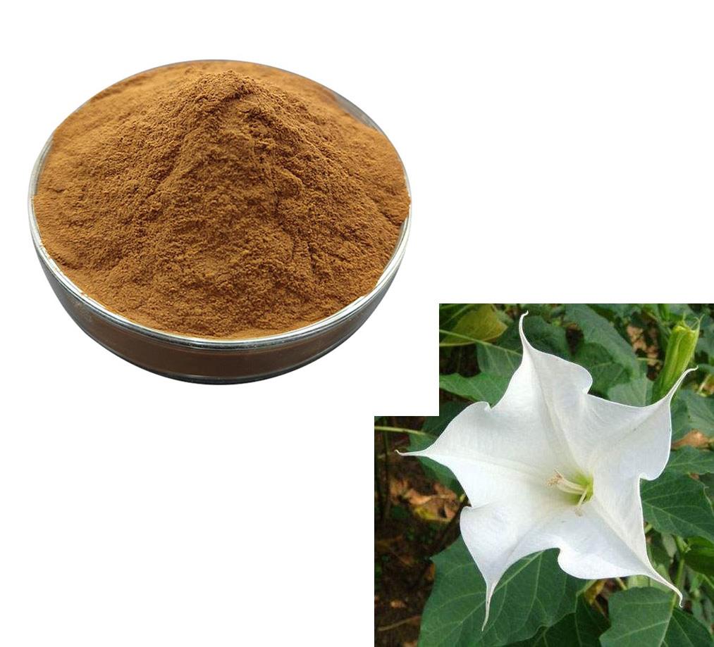 Article illustration