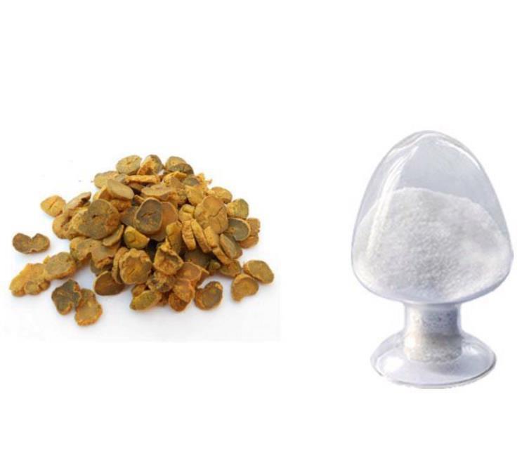 Article illustration