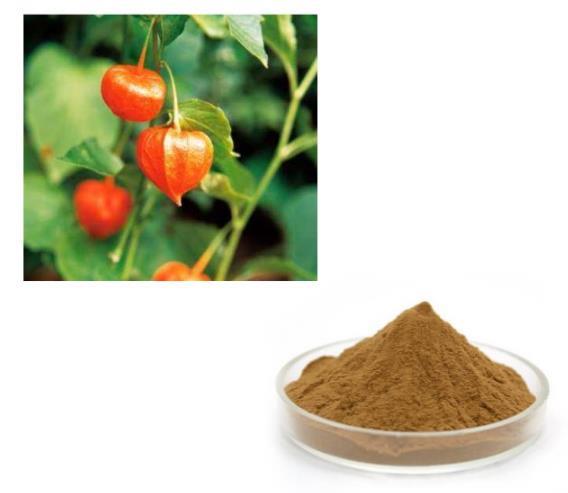 Article illustration