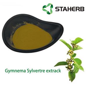 Gymnema sylvestre extract