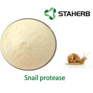 Snail protease