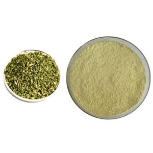 Rutin; Sophora flower extract