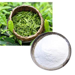 L-Epicatechin; Green tea extract