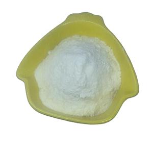 poly(methyl methacrylate)