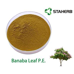 Banaba Leaf P.E.