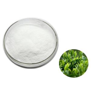 (-)-Epicatechin gallate ECG; Green tea extract