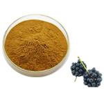  ELEUTHEROSIDE E1; Acanthopanax?Root Extract