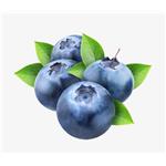 Powdered Bilberry Extract