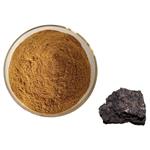 Shilajit Extract; Fulvic acid pictures